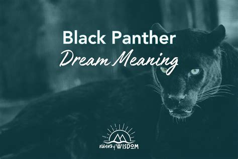 Integrating Panther Wisdom: Applying Dream Insights to Everyday Life