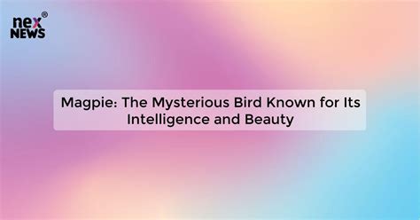 Intelligence and Beauty: The Fascinating Story of Helen Fox