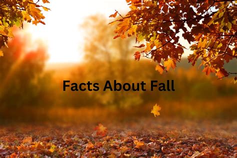 Interesting Facts About Autumn East