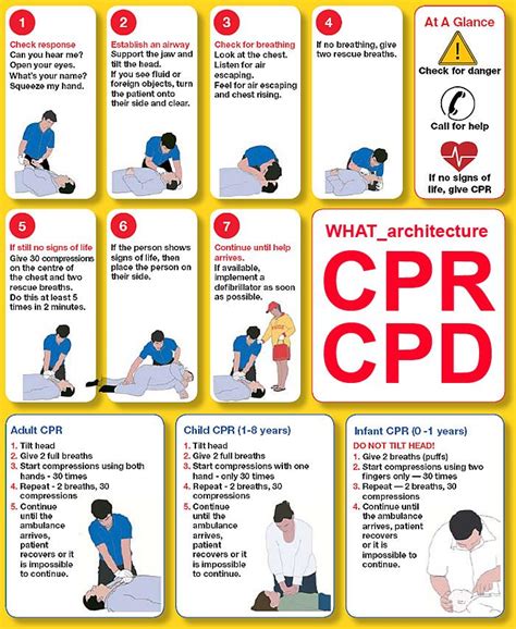 Interpreting Different Scenarios of CPR Dreams