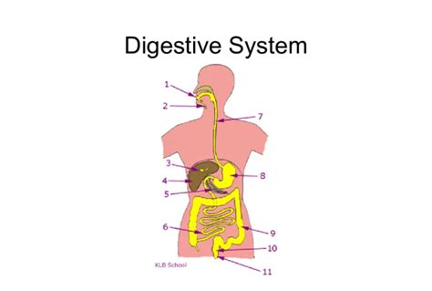 Interpreting Digestive System Surgery Dreams within the Context of Personal Relationships