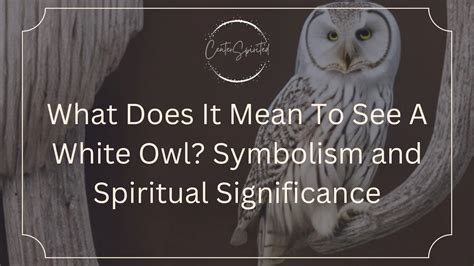 Interpreting the Significance of Black and White Owls in Different Cultures