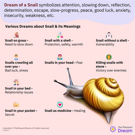 Interpreting the Significance of Snails in Dreams