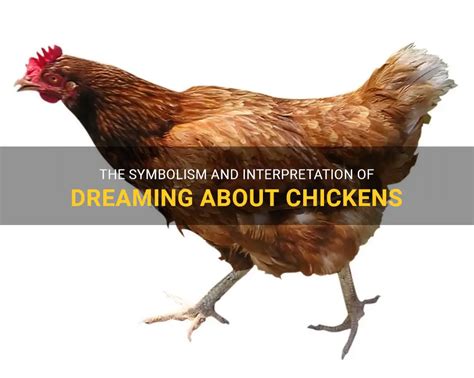 Interpreting the Symbolism of Chickens in Dreams