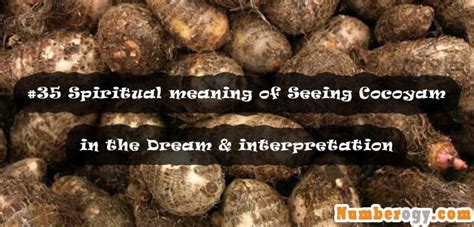 Interpreting the Various Interpretations: Different Perspectives on the Symbolism of Peeling Cocoyam