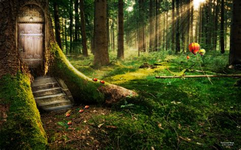 Into the Wilderness: Understanding the Significance of Forests in Dream Interpretation