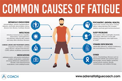 Investigating Potential Causes and Triggers of Fatigue