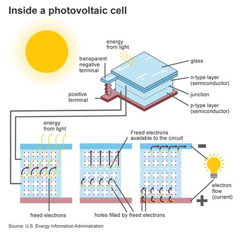 Investigating the Connection Between Natural Sunlight and Efficiency