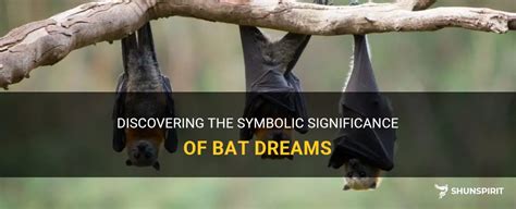 Investigating the Science behind Bat Dreams