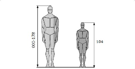 Investigating the stature of the prominent individual