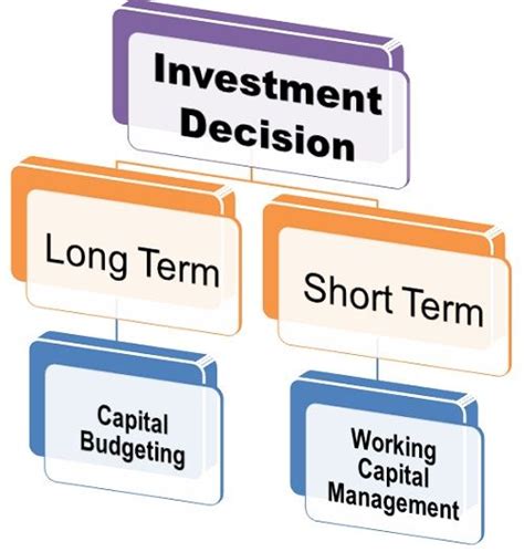 Investment Portfolio and Financial Decisions