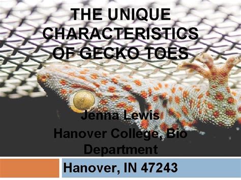 Jenna Lewis: Physical Appearance and Measurements