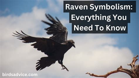 Journeying into the Shadows: Exploring the Dark Side of Raven Symbolism