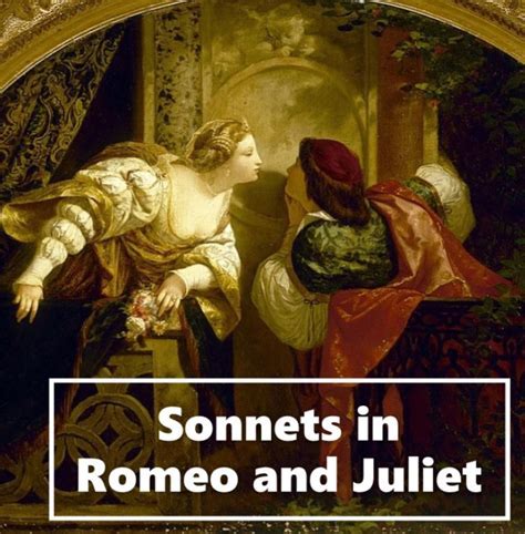 Julia Sonnet: A Brief Biography