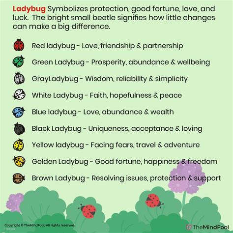 Ladybug Colors and Their Significance in Dream Interpretation