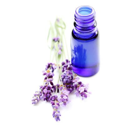 Lavender's Role in Aromatherapy: Enhancing Sleep and Promoting Tranquility