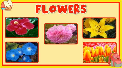 Learn All About Flower Cho