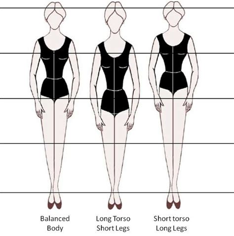 Learn More About Vivian Sweets' Vertical Measurement and Body Shape