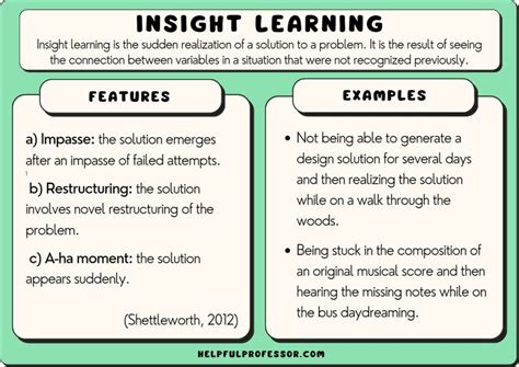 Learning from Unexpected Meetings: Insights and Lessons from the World of Dreams