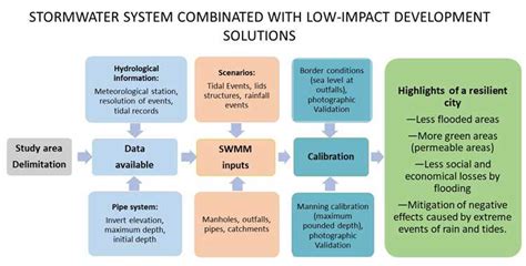 Legacy and Impact of Auria Storm's Work