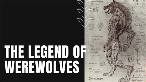 Legends and Lore: Discovering the Origins of Werewolf Myths