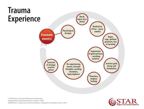 Life After the Traumatic Incident: Addressing the Emotional and Psychological Impact on the Family