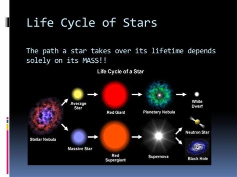 Life Path of a Rising Star