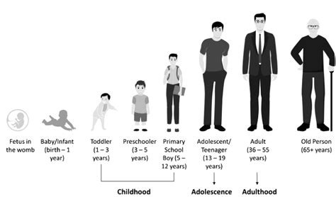 Life Stage and Date of Birth