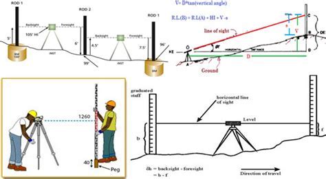 Life Story: Number of Years Lived, Elevation, Body Proportions, Financial Value