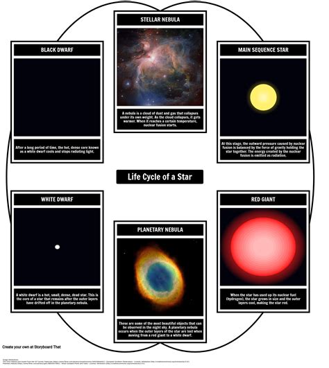 Life Story of the Star - A Comprehensive Overview