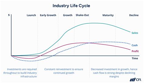 Life and Path in the Industry