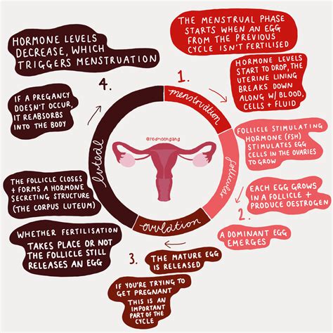 Lifestyle Changes to Support Management of Menstrual Flow