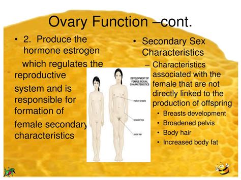 Lifestyle Choices That Can Impact Ovarian Function