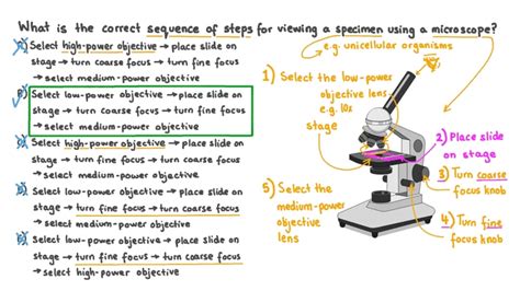 Locating the Ideal Spots for Capturing Silvery Specimens