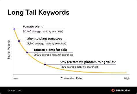 Long Tail Keywords: A Future Trend in SEO