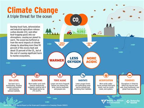 Long-term Impacts on Ecosystems