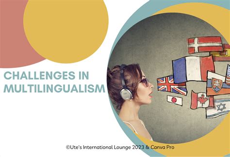 Lost in Translation: Uncovering the Challenges of Multilingualism