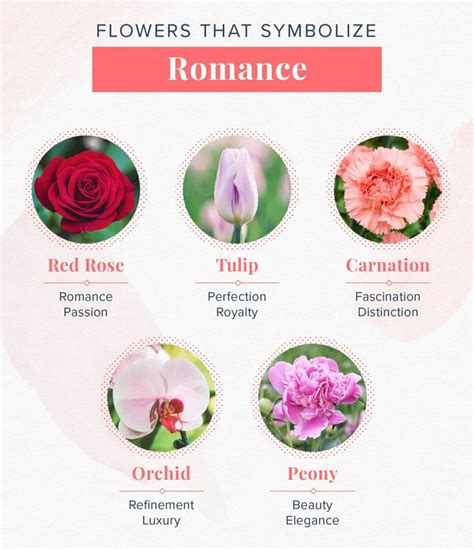 Love and Passion: The Symbolic Meaning of Roses in Romantic Relationships