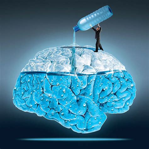 Maintaining Optimal Hydration for Enhanced Concentration and Cognitive Function