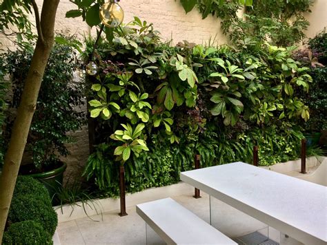 Maintenance and Care Tips for a Thriving and Luxuriant Living Wall