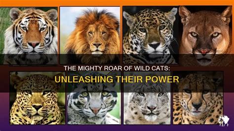 Majestic Predators: Unleashing the Hunting Behavior of Mighty Wild Cats