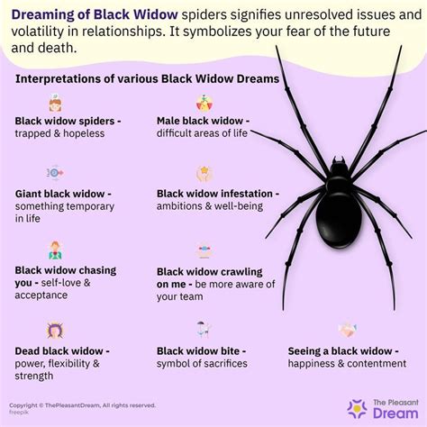 Male Black Widow: A Captivating Symbol in Dream Interpretation