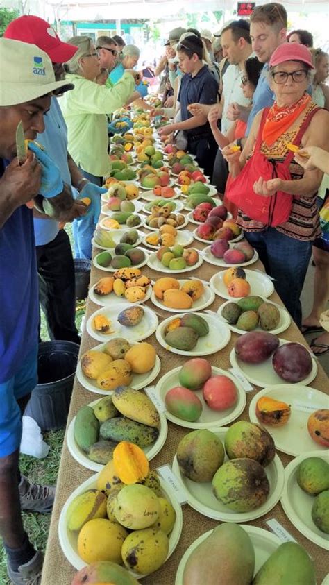 Mango Mania: Exploring the Cultivation and Production of Mango Worldwide