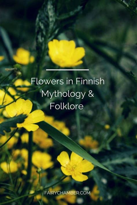 Marigolds in Folklore and Mythology: Tales of Protection and Love