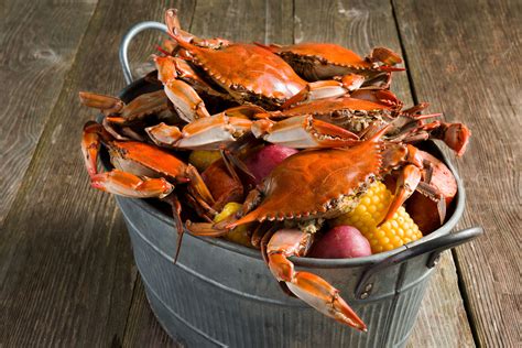 Mastering the Art of Crab Cuisine: Essential Tips for Cooking Crabs at Home