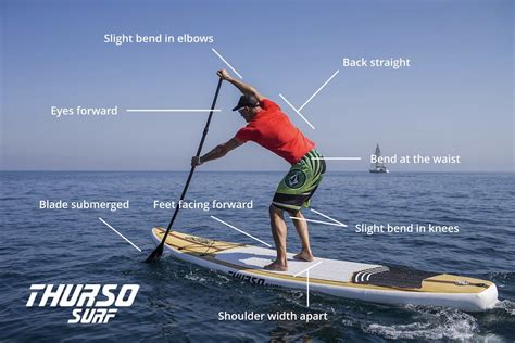 Mastering the Art of Stand Up Paddling: Essential Techniques to Perfect Your Skills