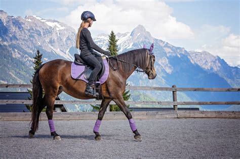 Mastering the Basics: Essential Riding Techniques for Beginners