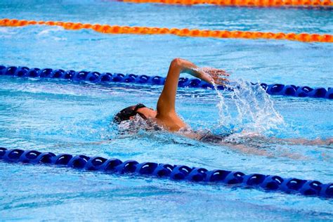 Mastering the Fundamentals: Exploring the Basics of the Swimming Art