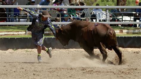 Mastering the Techniques: Learning the Skills of Bull Riding