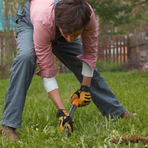 Mastering the Techniques and Tools for Successful Indoor Gardening